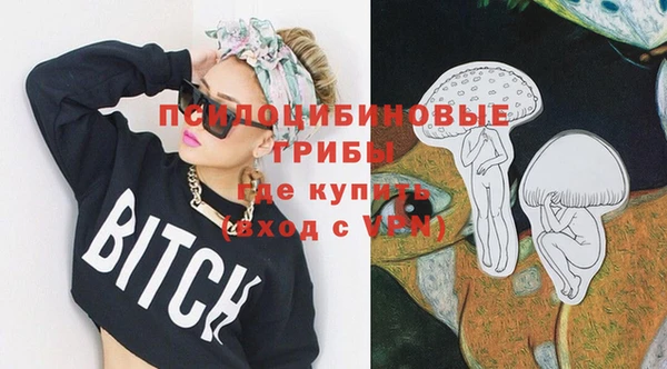 дживик Абинск