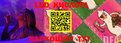 амф Кингисепп