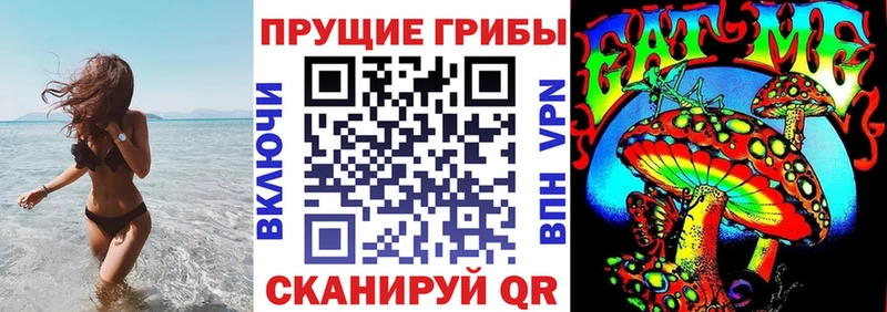 Псилоцибиновые грибы Psilocybine cubensis  Лесозаводск 