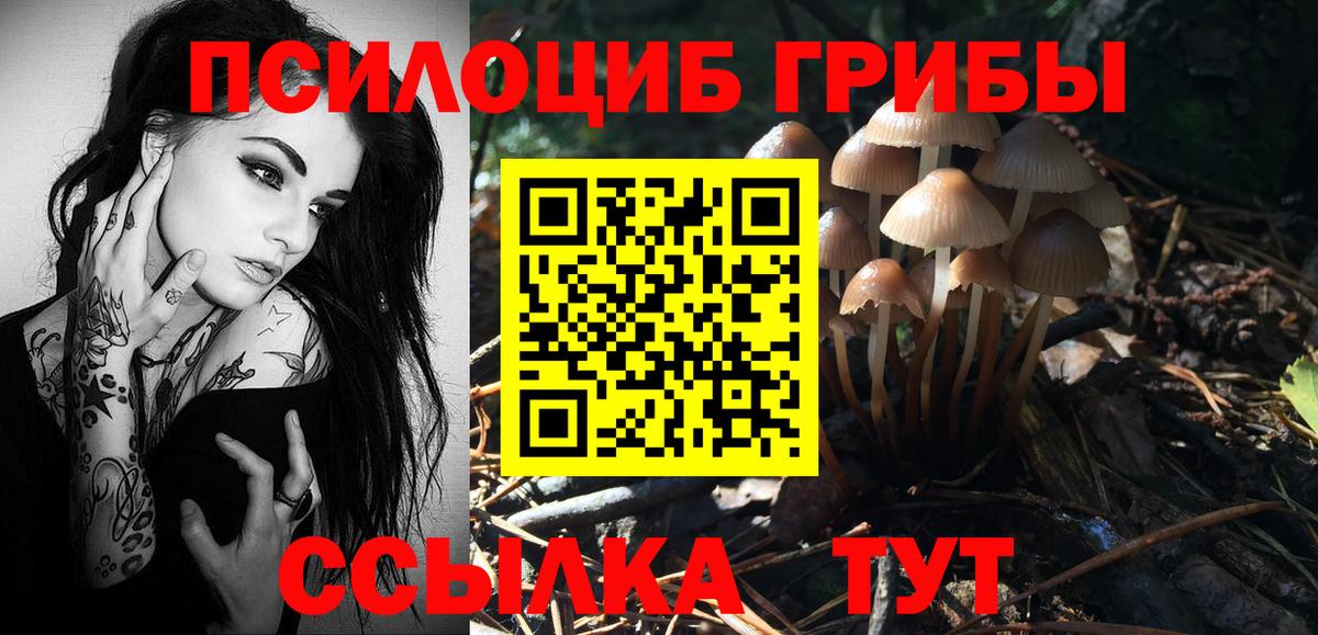 Галлюциногенные грибы GOLDEN TEACHER  Вход с VPN  Лесозаводск  Псилоцибиновые грибы прущие грибы 